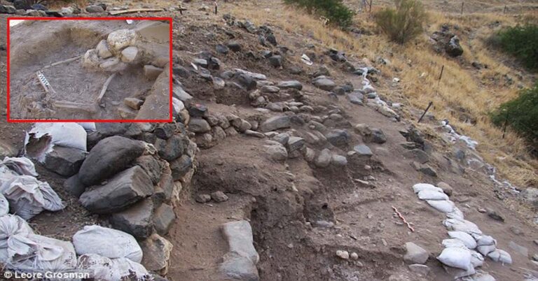 Archaeologists Unearth Prehistoric Village Of First Farmers In Israel ...