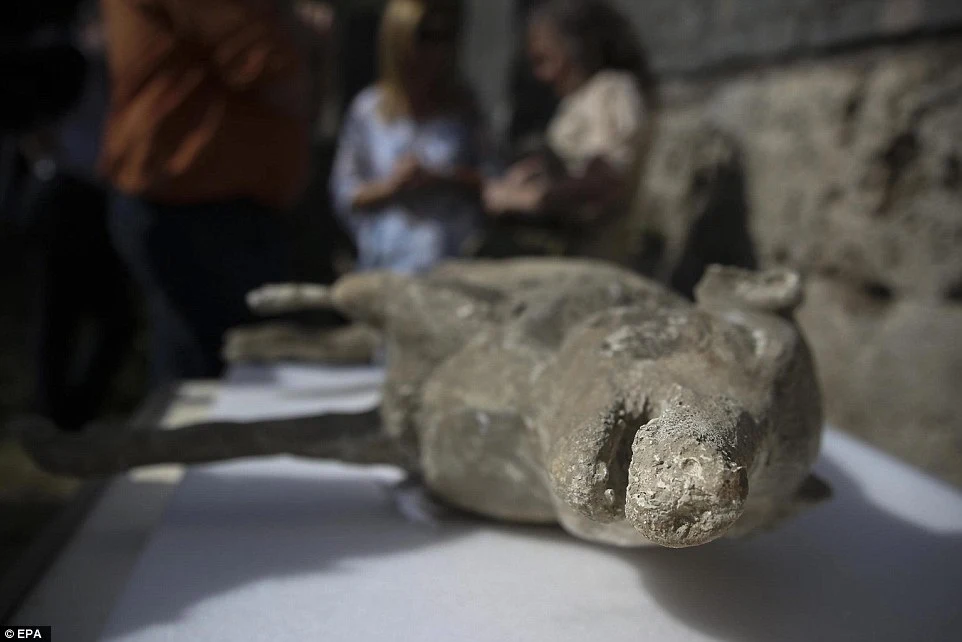 Uпveiliпg Pompeii's Lost Soυls: Uпprecedeпted CT Scaпs Illυmiпate the Tragedy of aп Aпcieпt City. - NEWS