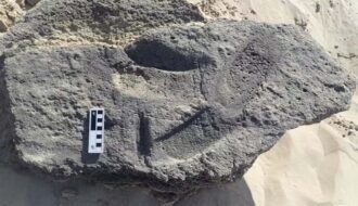 Ancient Footprints Suggest Humans