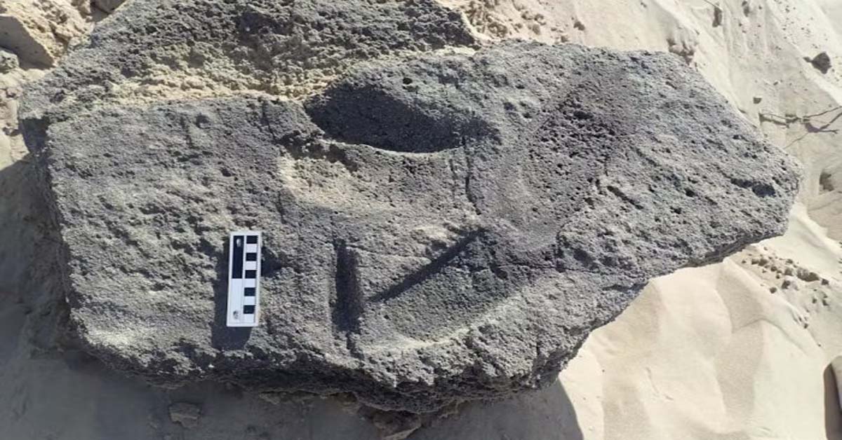 Ancient Footprints Suggest Humans
