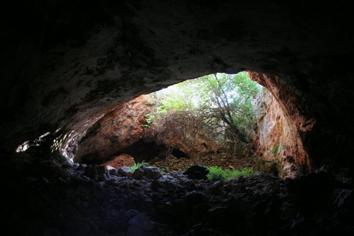 Ancient human remains