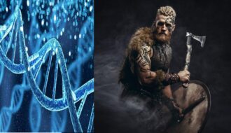 Vikings DNA Analysis