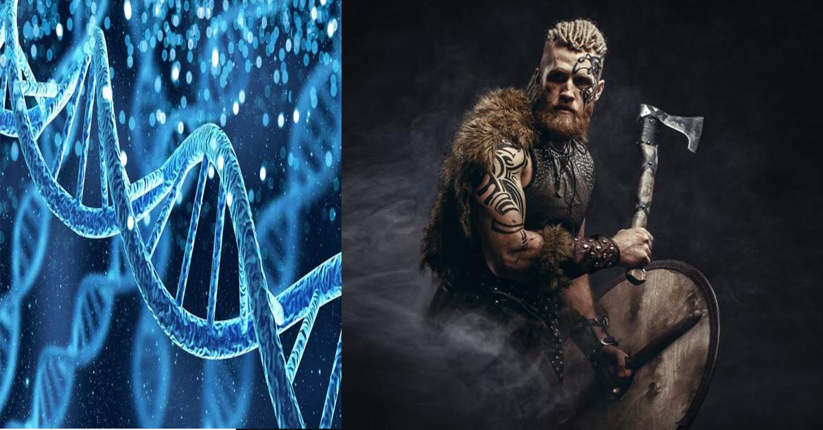 Vikings DNA Analysis