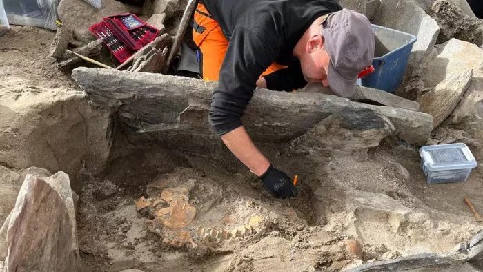 Grave Discovery in Norway