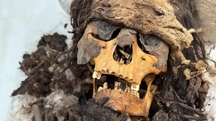 Peruvian Archaeological Discovery Unveils 22 Mummies, Mostly Children, Wrapped in Ancient Burial Bundles - archaeologyworldnews.com