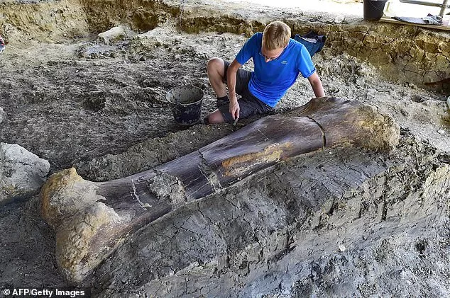 Huge 6.5-FOOT thigh bone belonging to ‘world’s biggest dinosaur’ found in France – and it weighs 500 kilos - archaeologyworldnews.com